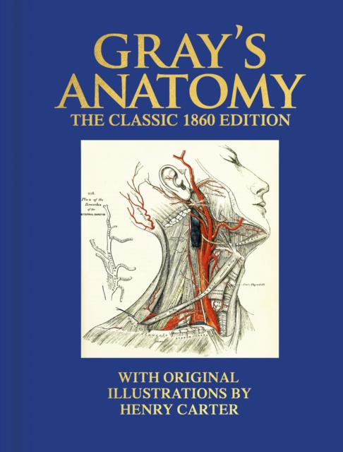 Anatomy For Students Gray's Anatomy Amazon Greys Anatomy