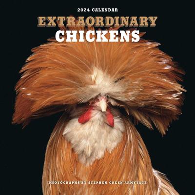 Extraordinary Chickens 2024 Wall Calendar | UK - abc.nl